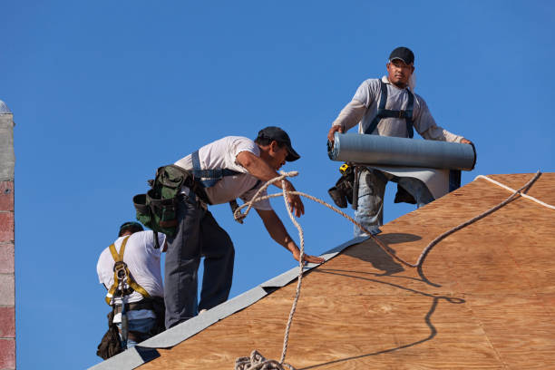 Best Emergency Roof Repair  in La Plata, MO