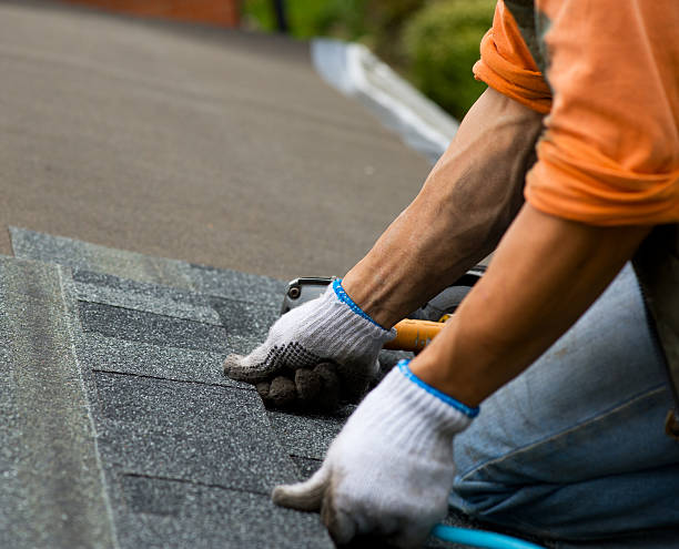 Roof Gutter Cleaning in La Plata, MO