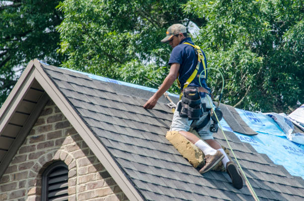 Best Slate Roofing Contractor  in La Plata, MO